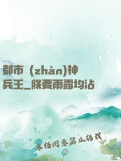 都市戰(zhàn)神兵王