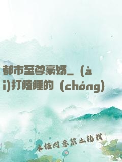 都市至尊豪婿