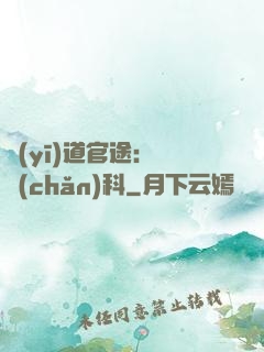 醫(yī)道官途：婦產(chǎn)科