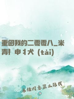 重回我的二零零八