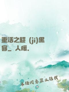 重活之超級(jí)黑客