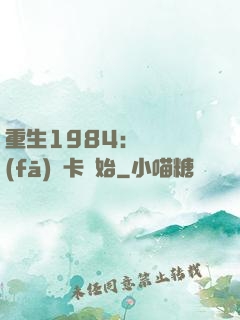 重生1984：從開發(fā)漢卡開始