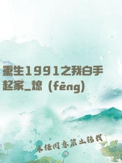 重生1991之我白手起家