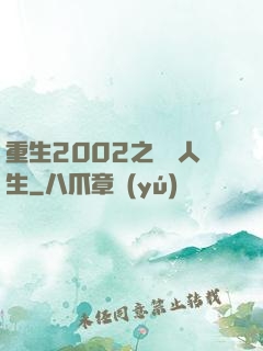 重生2002之瀟灑人生