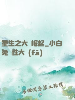 重生之大廠崛起
