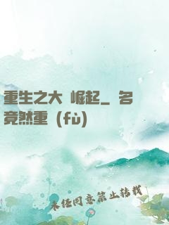 重生之大廠崛起