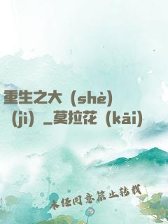 重生之大設(shè)計(jì)師