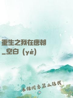 重生之我在唐朝賣絲襪