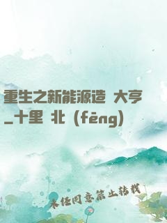 重生之新能源造車大亨
