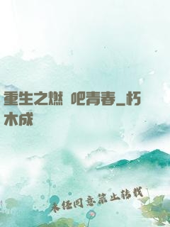 重生之燃燒吧青春