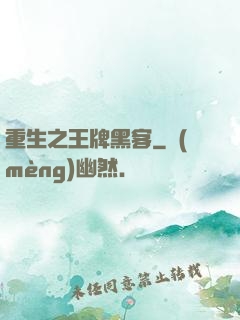重生之王牌黑客