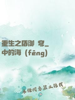 重生之盾御蒼穹