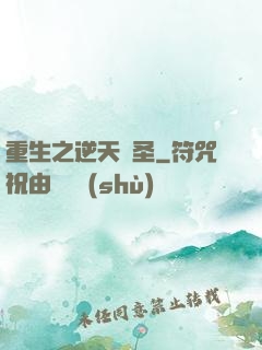 重生之逆天盜圣