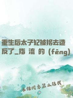 重生后太子妃被拐去造反了