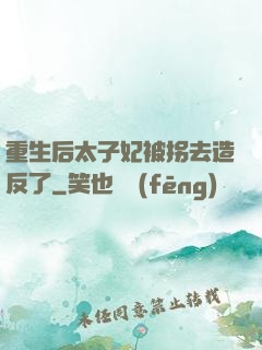 重生后太子妃被拐去造反了