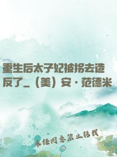 重生后太子妃被拐去造反了