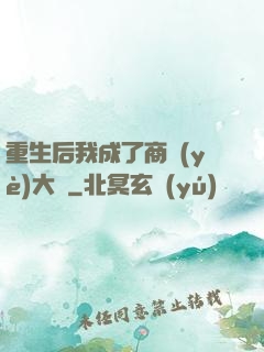 重生后我成了商業(yè)大鱷
