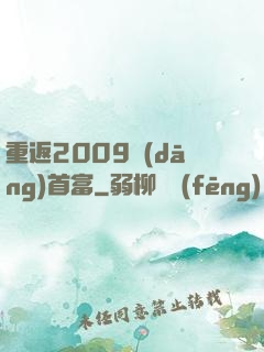 重返2009當(dāng)首富