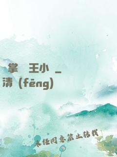 鐵掌無敵王小軍