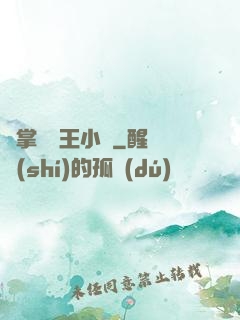 鐵掌無敵王小軍