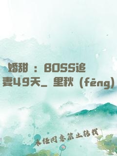 閃婚甜愛：BOSS追妻49天