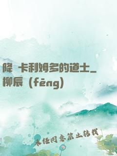 降臨卡利姆多的道士