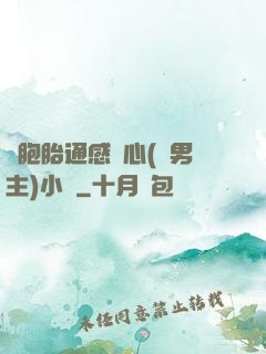 雙胞胎通感夾心(雙男主)小說