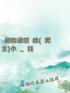 雙胞胎通感夾心(雙男主)小說