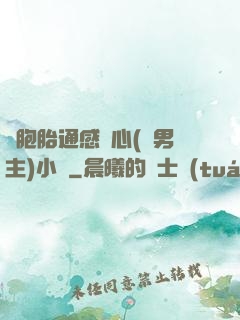 雙胞胎通感夾心(雙男主)小說
