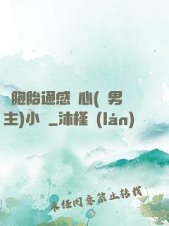 雙胞胎通感夾心(雙男主)小說