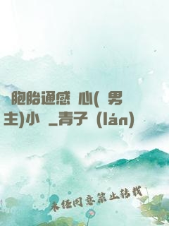 雙胞胎通感夾心(雙男主)小說