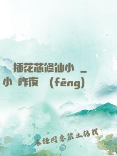 雙陽插花芯修仙小說