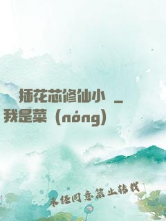 雙陽插花芯修仙小說