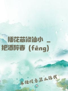 雙陽插花芯修仙小說