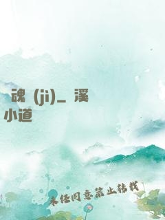 雙魂紀(jì)