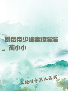離婚后帝少追妻路漫漫