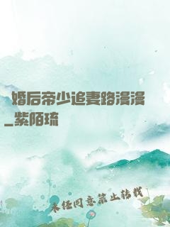 離婚后帝少追妻路漫漫