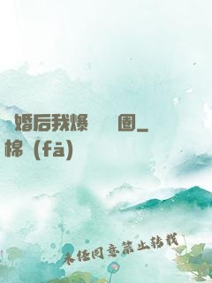 離婚后我爆紅娛樂圈
