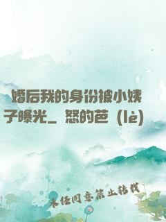 離婚后我的身份被小姨子曝光