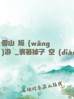 雪山飛狐網(wǎng)游錄