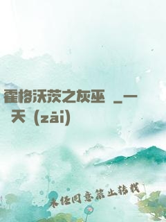 霍格沃茨之灰巫師