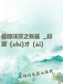 霍格沃茨之灰巫師