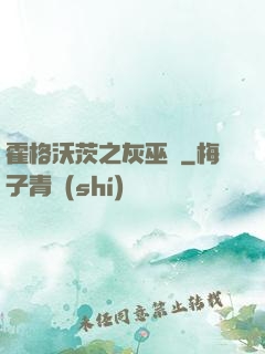 霍格沃茨之灰巫師