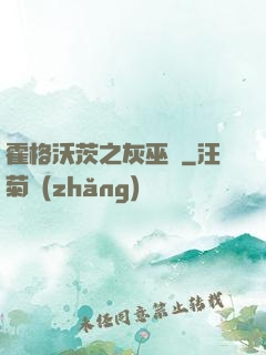 霍格沃茨之灰巫師