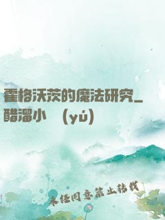 霍格沃茨的魔法研究