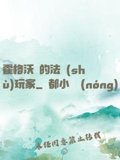 霍格沃茲的法術(shù)玩家