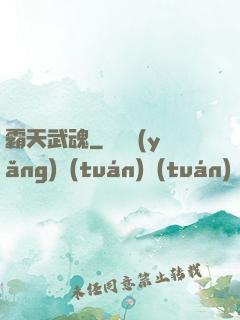 霸天武魂