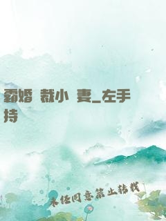 霸婚總裁小蠻妻