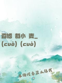 霸婚總裁小蠻妻