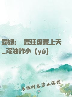霸婿：寵妻狂魔要上天